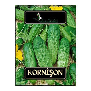 Kornişon Tohumu 16 Adet