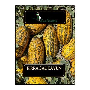 Kırkağaç Kavun Tohumu 20 Adet