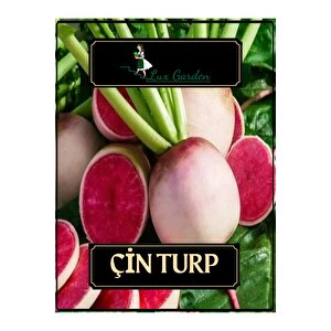 Çin Turp Tohumu 40 Adet