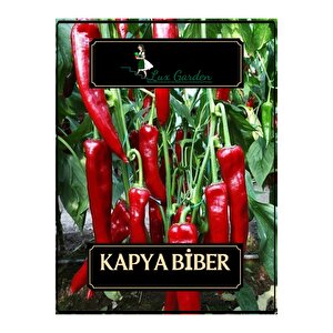 Kapya Biber Tohumu 110 Adet