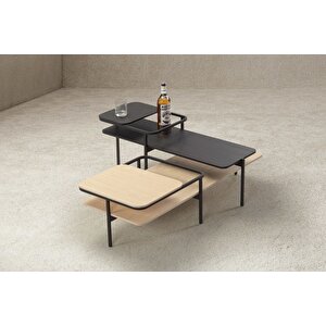 Spider Çok Amaçlı Metal Ayaklı Ikili Orta Sehpa Tablalı Barlı Dekoratif Orta Sehpa Montajsız Table