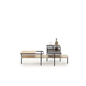 Spider Çok Amaçlı Metal Ayaklı Ikili Orta Sehpa Tablalı Barlı Dekoratif Orta Sehpa Montajsız Table