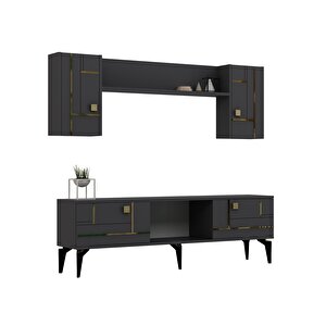 Madera 150 Cm Tv Üni̇tesi̇ Takimi Antrasit-Altın Antrasit Gold