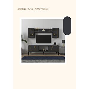 Madera 150 Cm Tv Üni̇tesi̇ Takimi Antrasit-Altın