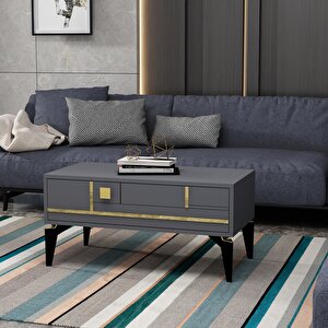 Madera Orta Sehpa Antrasit-Altın Antrasit Gold
