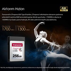 Ts256gcfe820 256gb Cfexpress Hafıza Kartı