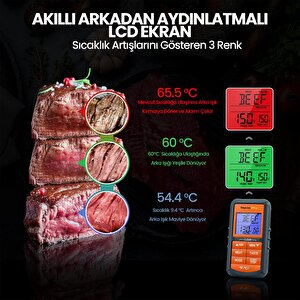 Thermopro Tp06b Çelik Proplu Dijital Profesyonel Gıda Pişirme Termometresi