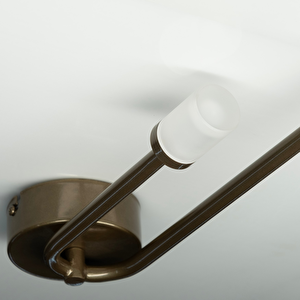 Duvar Led Aplik Branch 50 Cm
