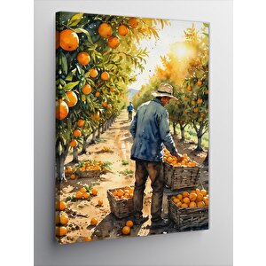 Kanvas Tablo Portakal Tarlası 70x100 cm