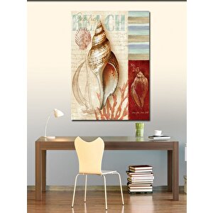 Kanvas Tablo Deniz Kabuğu Kumsal Temalı 50x70 cm