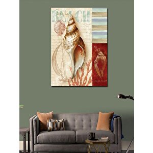 Kanvas Tablo Deniz Kabuğu Kumsal Temalı 70x100 cm