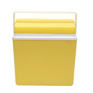 Icepeak Sf25 Buzluk 25 Litre-sari