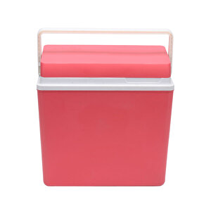 Icepeak Sf25 Buzluk 25 Litre-sari