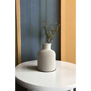 Dekoratif Pampas Vazosu 10 Cm | Beyaz |