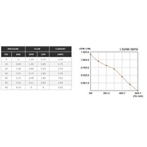 Seaflo Karavan, Tekne Hidroforu 24 Volt 5.0 Lt/dak 60 Psi 4.1 Bar Sfdp2-013-060-22