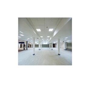 Master Tl5 He 28w T5 Floresan Beyaz 865 115 Cm