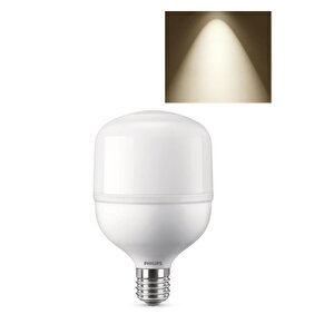 Trueforce Core 24w Torch Led Ampul Cool White Günışığı 4000k