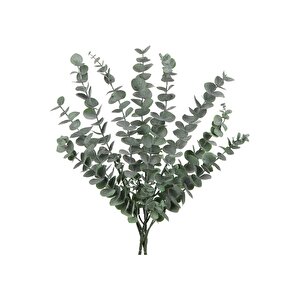5 Dallı Gerçek Dokulu 45 Cm Yapay Okaliptus Demeti