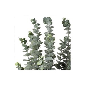 5 Dallı Gerçek Dokulu 45 Cm Yapay Okaliptus Demeti