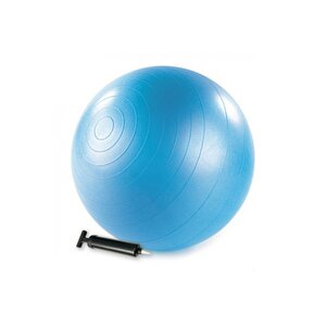 55 Cm Plates Topu Pompa