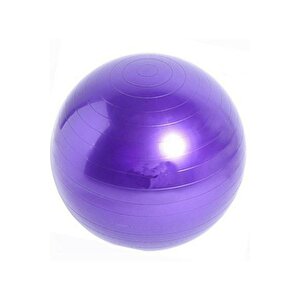 65 Cm Fitilli Pilates Topu Ve Pompa Seti Plates Denge Yoga Spor Egzersiz Top