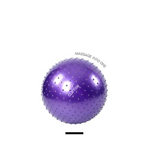 Dikenli Yoga Pilates Aeorobik Jimnastik Topu 65 Cm Mor Pompa Hediyeli