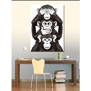 Kanvas Tablo Duymadım Görmedim Bilmiyorum Maymun 50x70 cm