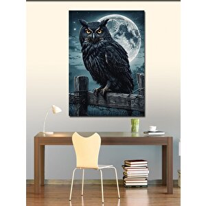 Kanvas Tablo Gece Kuşu 70x100 cm