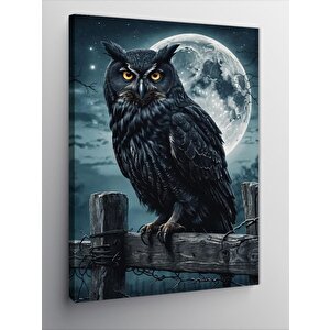 Kanvas Tablo Gece Kuşu