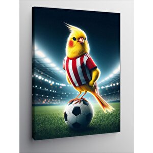 Kanvas Tablo Futbol Kuşu 70x100 cm