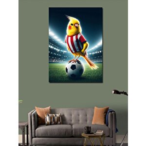 Kanvas Tablo Futbol Kuşu 70x100 cm