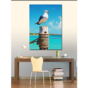 Kanvas Tablo Deniz Kuşu 70x100 cm