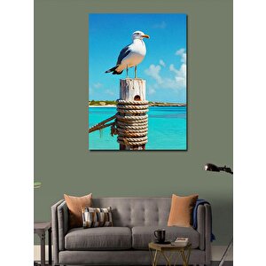 Kanvas Tablo Deniz Kuşu 70x100 cm
