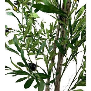 Yapay Zeytin Ağacı 190cm 2 Gövdeli Çalılı Doğal Gerçek Görünümlü Yapay Ağaç
