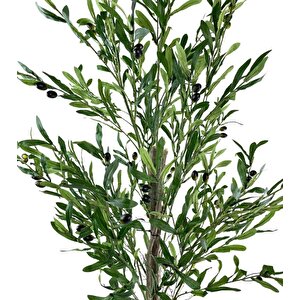 Yapay Zeytin Ağacı 190cm 2 Gövdeli Çalılı Doğal Gerçek Görünümlü Yapay Ağaç