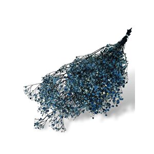 Kuru Çiçek Doğal  Laci̇vert Cipso 50gram 1. Kalite Şoklanmış Bozulmaz