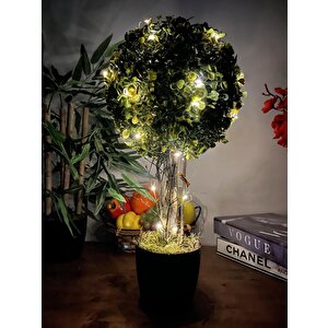 Led Işıklı Şimşir Top Yılbaşı Ağacı Tek Toplu 23cmx45cm Siyah Saksılı
