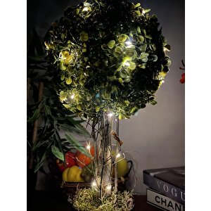 Led Işıklı Şimşir Top Yılbaşı Ağacı Tek Toplu 23cmx45cm Siyah Saksılı