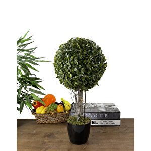 Led Işıklı Şimşir Top Yılbaşı Ağacı Tek Toplu 23cmx45cm Siyah Saksılı