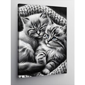Kanvas Tablo Uyuyan Kediler 70x100 cm