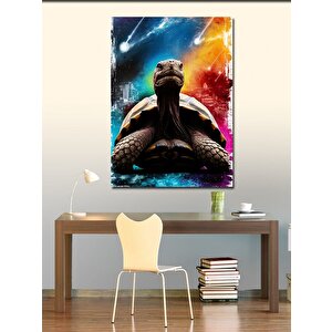 Kanvas Tablo Kaplumbağa Ve Işıltılı Gökyüzü 50x70 cm