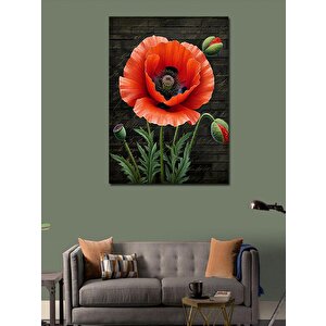 Kanvas Tablo Kırmızı Gelincik Çiçeği 50x70 cm