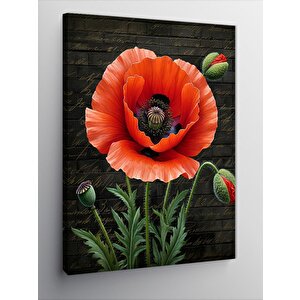 Kanvas Tablo Kırmızı Gelincik Çiçeği 100x140 cm