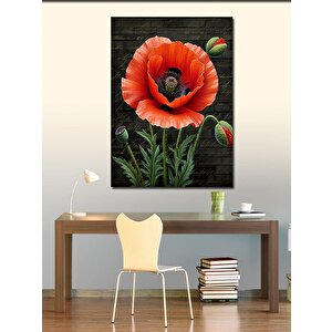 Kanvas Tablo Kırmızı Gelincik Çiçeği 100x140 cm