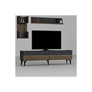 Tedydh Tv Üni̇tesi̇ Takimi Antrasi̇t-cevi̇z-altin