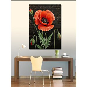 Kanvas Tablo Gelincik Çiçeği 70x100 cm