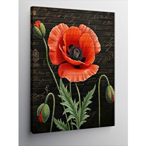 Kanvas Tablo Gelincik Çiçeği 50x70 cm