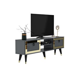 Li̇dyadh Tv Stand Antrasi̇t Altin