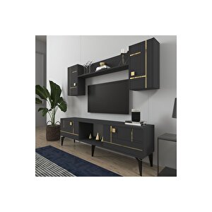 Maderadh Tv Üni̇tesi̇ Antrasi̇t Altin Antrasit Gold
