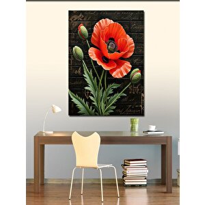 Kanvas Tablo Gelincik Çiçeği 70x100 cm